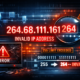 264.68.111.161: The Mystery of an Invalid IP Deep Dive Guide