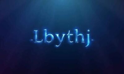 lbythj: A New Framework for Adaptive Systems and Human Value