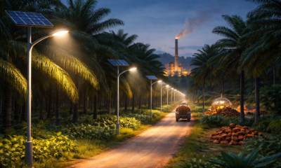 oil palm project involving streetlights boosting rural power