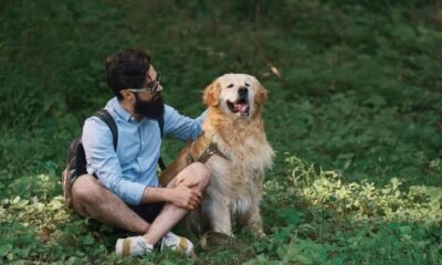 petdardas com: The Emerging Hub for Responsible Pet Care