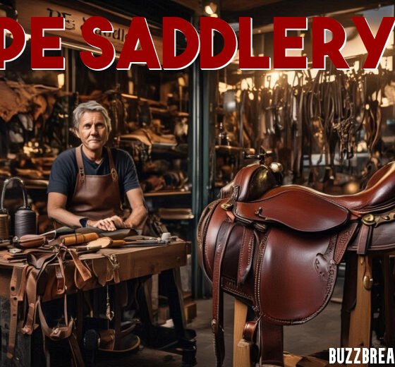 What Is PE Saddlery? Complete Guide for Riders