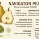 Navigator Pear: Fruit, Ornamental Tree, Growing Tips, Taste, Storage & Market Value