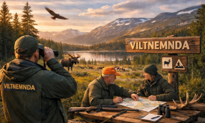 viltnemnda: Norway’s Local Wildlife Governance Explained