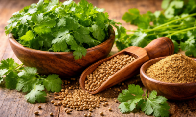 Koriandri: The Ancient Herb That Transformed Global Cuisine