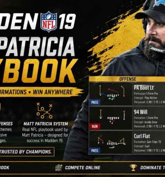 madden 19 matt patricia playbook