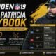 madden 19 matt patricia playbook