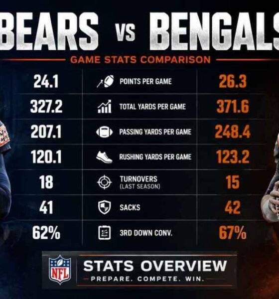 chicago bears vs bengals stats